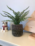 fabric basket plant pot brown and green